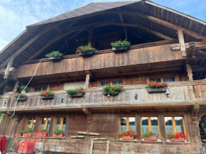 Pony Hof Heiligenschwendi